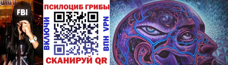 гидра онион  Сухой Лог  Галлюциногенные грибы GOLDEN TEACHER  купить наркоту 