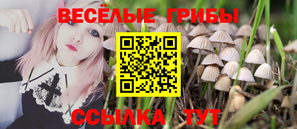 Псилоцибиновые грибы Cubensis  Галлюциногенные грибы GOLDEN TEACHER  Вход с VPN  купить  цена  Сухой Лог 